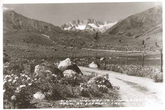 Sawtooth Ridge 1982