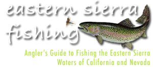 eastern sierra fishing