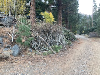 TLFSC & TLPOA Chipping Days, 10/22 & 10/23